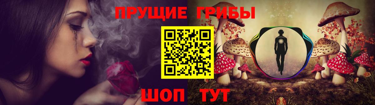 Псилоцибиновые грибы мицелий Вязники